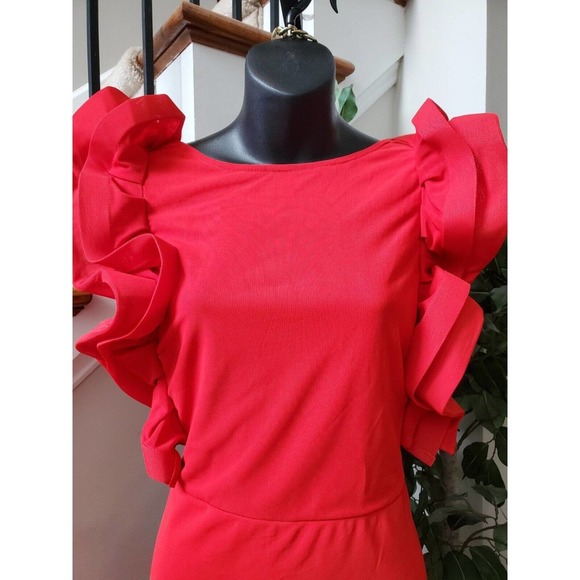 Fashion Nova Always A Good Time Ruffle Polyester Sleeveless Maxi Long Dress 1X - Picture 7 of 16